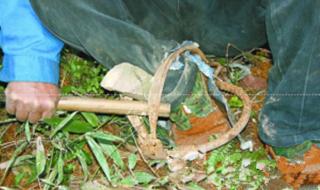 山上的女人是老虎