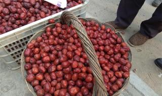 小生意做什么好