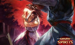 侍魂零出招表大全 侍魂零出招表大全