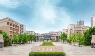 艺术特长生招生 艺术特长生招生