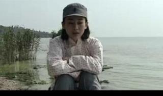 中天悬剑演员表