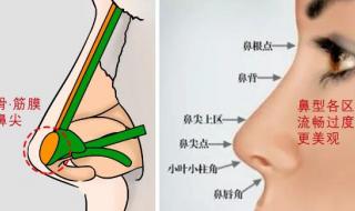 缩小鼻头多少钱 缩小鼻头多少钱