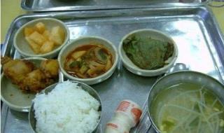 中学生营养午餐食谱