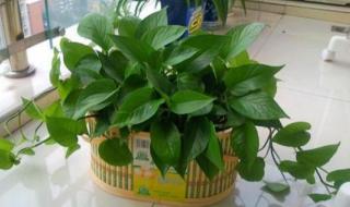 相对湿度PO阿司匹林