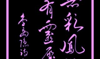 身无彩凤双飞翼下句