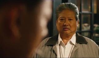 我的特工爷爷票房