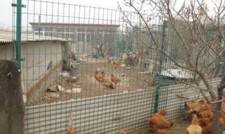 养殖场围栏网厂家