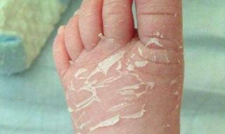 重庆月嫂培训机构 重庆月嫂培训机构