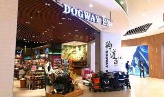 苏州宠物美容学校