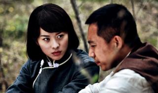 特种兵之火凤凰演员