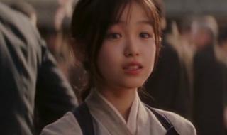 艺伎回忆录完整版