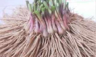 四季之美课堂笔记 四季之美课堂笔记