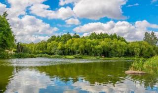 新江湾城湿地公园 新江湾城湿地公园