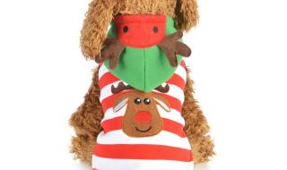 圣诞狗狗之圣诞小宝贝 圣诞狗狗之圣诞小宝贝