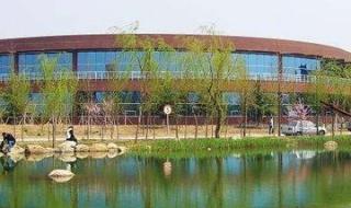 潍坊中学录取标准