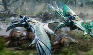 阿凡达2水之道4k资源 阿凡达2水之道4k资源