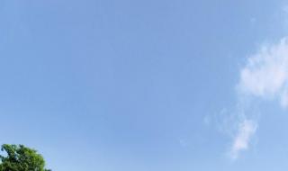 美丽的草原一望无边 美丽的草原一望无边