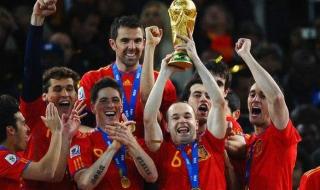 2010世界杯荷兰阵容 2010世界杯荷兰阵容